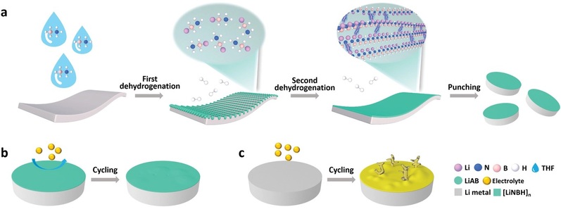 Artificial Interphases for Highly Stable Lithium Metal Anode