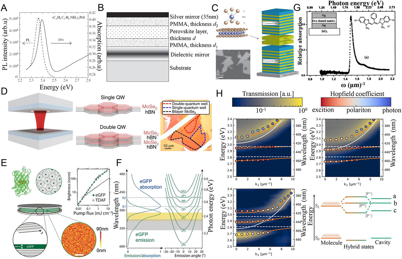 Strongly Coupled Systems For Nonlinear Optics